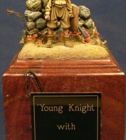 Young knight with horse