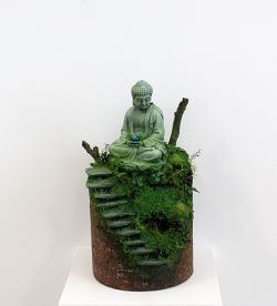 Vegetation Meditation