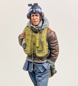 Spitfire Pilot 1940