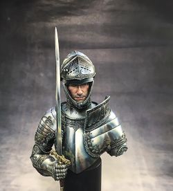 Medieval Tournament Champion