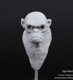 Primate bust