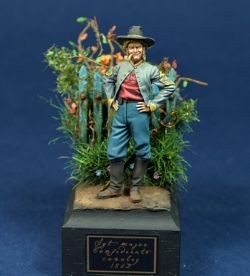 Sgt. Confederate cavalry