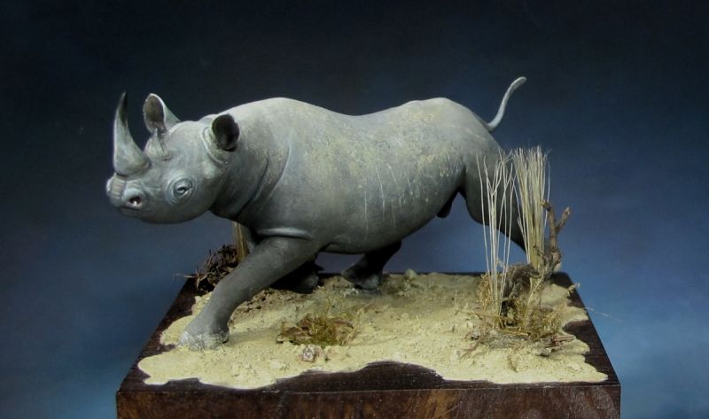 Le Rhino c’est roce !