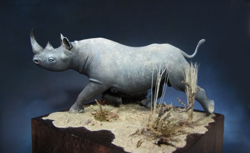 Le Rhino c’est roce !