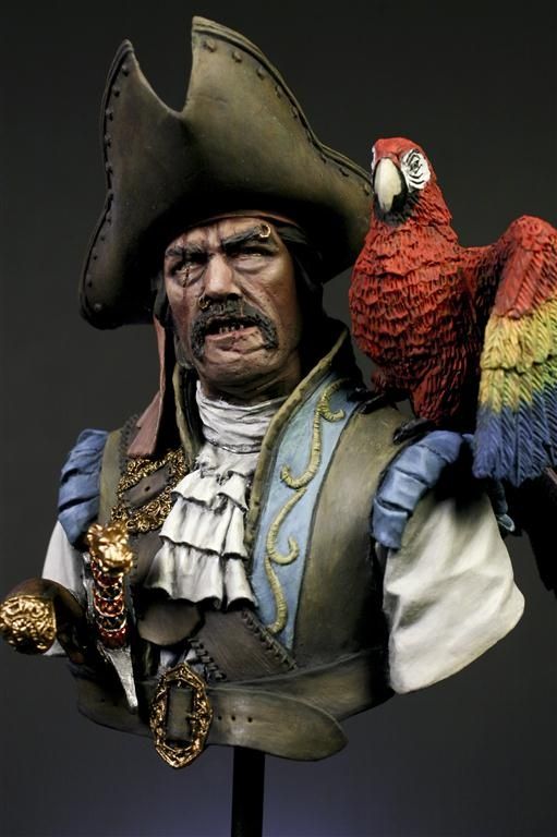Pirate and the Parrot