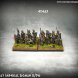 Early Imperial Roman Auxilia (15mm)