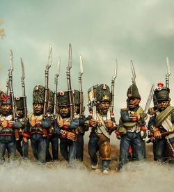 Polish infantry added in the french guard.