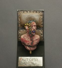 Autopsy of Subject 14
