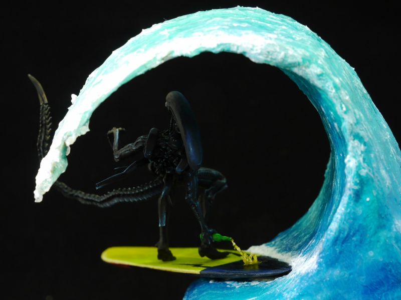 Surf xenomorph
