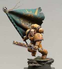 Brother Fonsel, Imperial Fists Standard Bearer