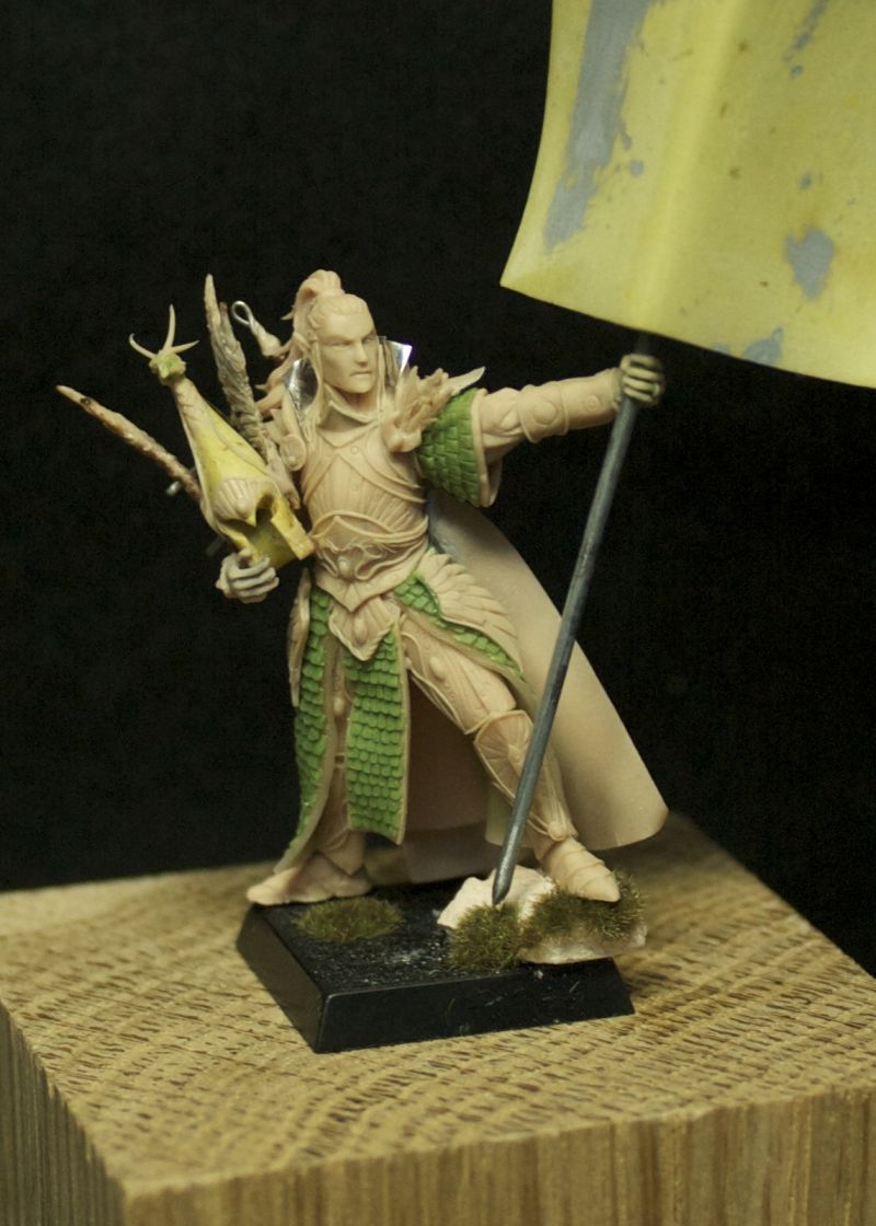 High Elf with standard
