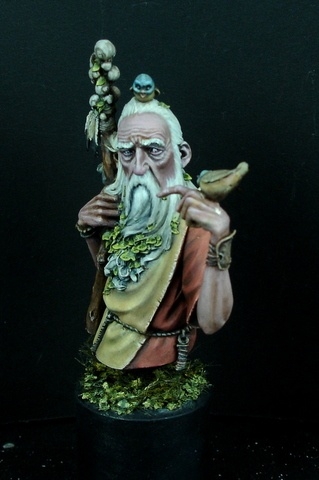 Cormac the Druid