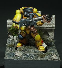 Space Marine Imperial Fist