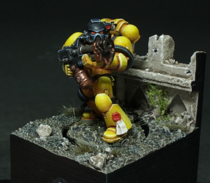 Space Marine Imperial Fist