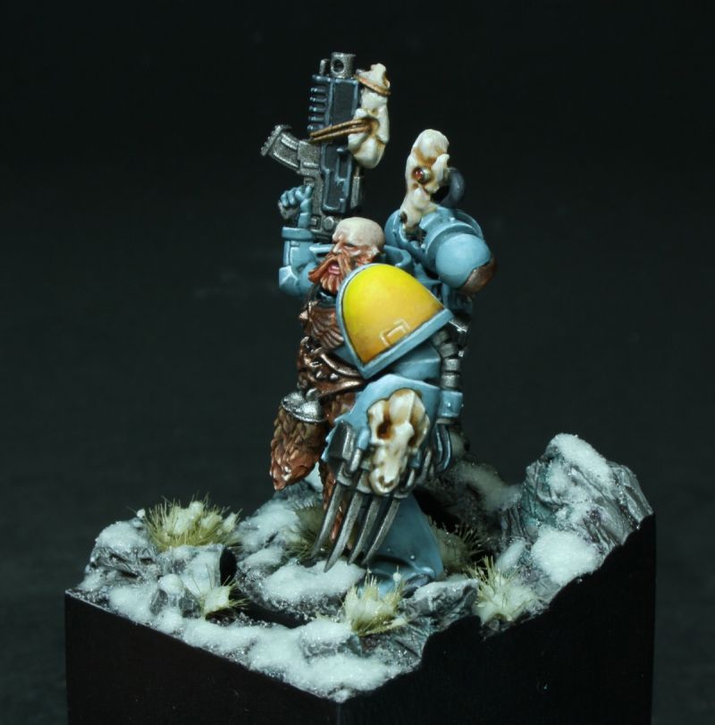 Space Marine Space Wolves