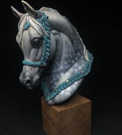 Arabian Head Horse
