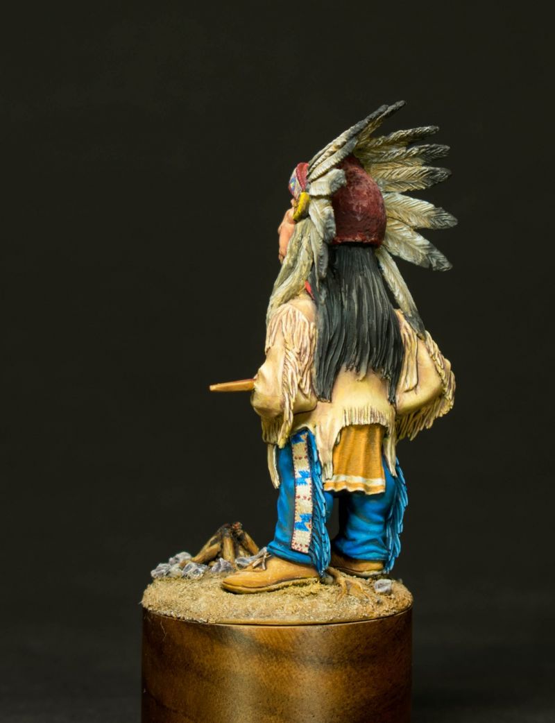 Wise Indian chief