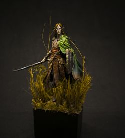 Aenor, the Elf Prince