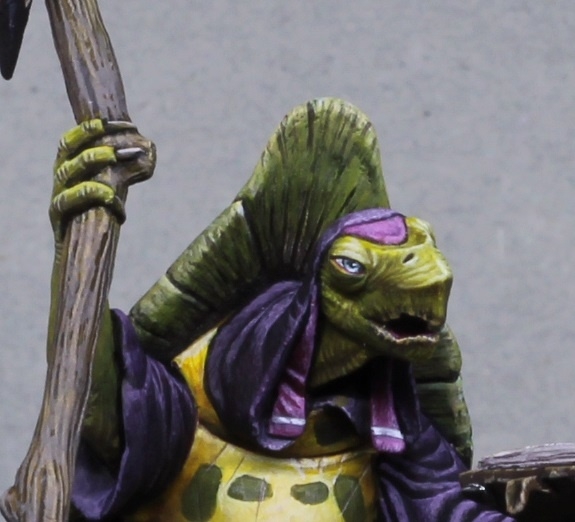 Turtle Shaman