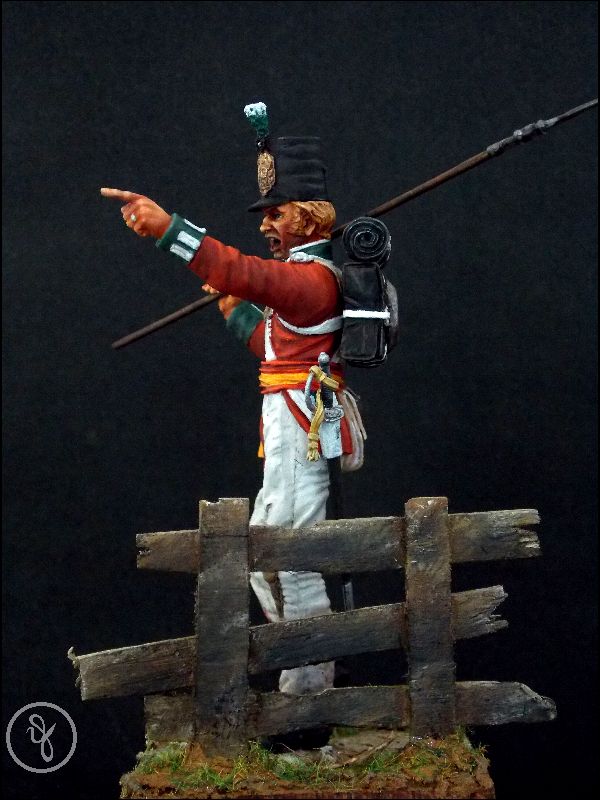 Sergeant of the 88th Regiment - 1812