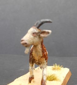 28mm Goat. Reaper Miniatures