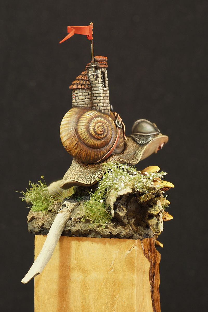 snail from Bern