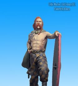 Celtic Warrior 3rd B.C.