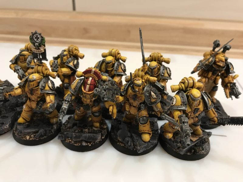 Imperial Fists veterans