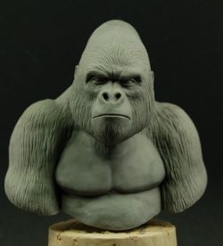 Gorilla Bust