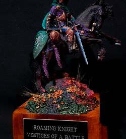 Roaming Knight