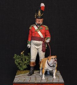Officer of the 36th Line Infantry Regiment with a bulldog