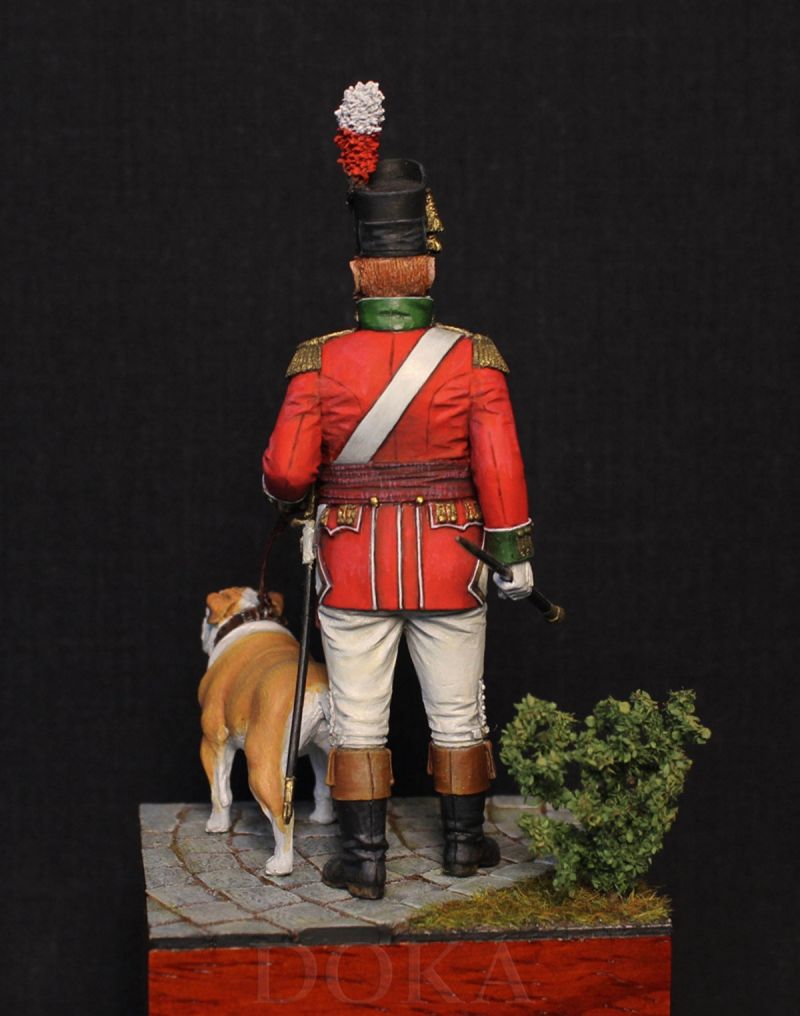 Officer of the 36th Line Infantry Regiment with a bulldog