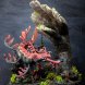 Leafy Sea Dragon Diorama
