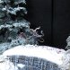 Krampus - A Christmas Tale
