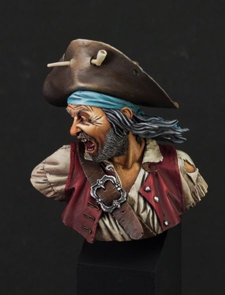 Pirate Bust