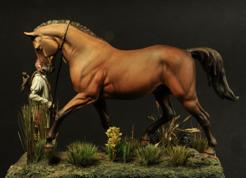 Horse thief Irochese XVIII