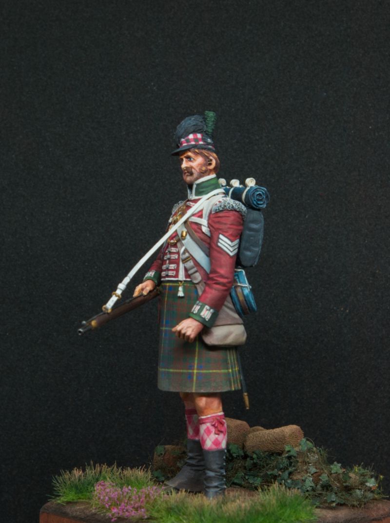 Cameron Highlander 1815