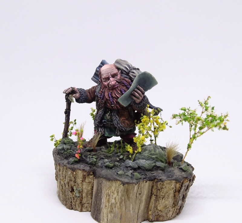 Dwarf treasure hunter