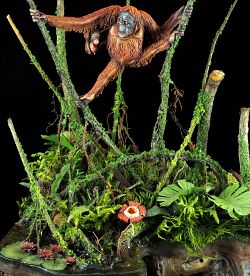 Born in the rain forest - Orangutan family