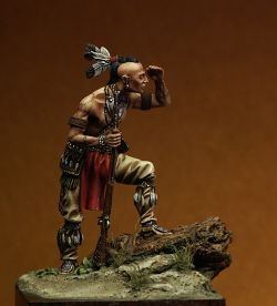 Mohawk Warrior 2