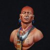 Mohawk warrior