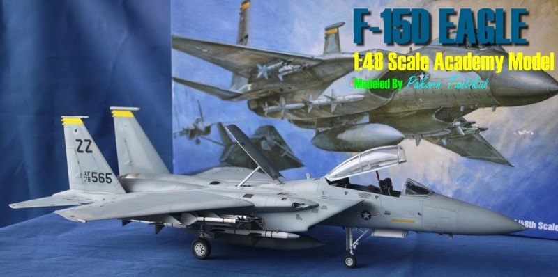 F-15D EAGLE 1/48 Scale