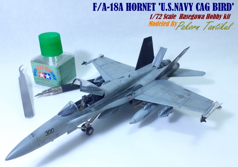 F/A-18A HORNET “U.S.NAVY CAG BIRD”