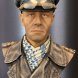 Rommel 'The Desert Fox' BATTLE DAMAGED