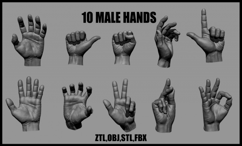 10 Male hands
