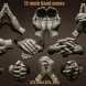 12 Male hand poses