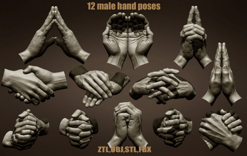 12 Male hand poses