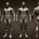 Realistic Male Full Body Sculpt