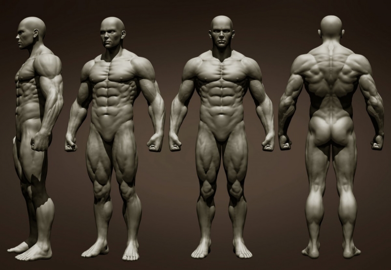 Realistic Male Full Body Sculpt