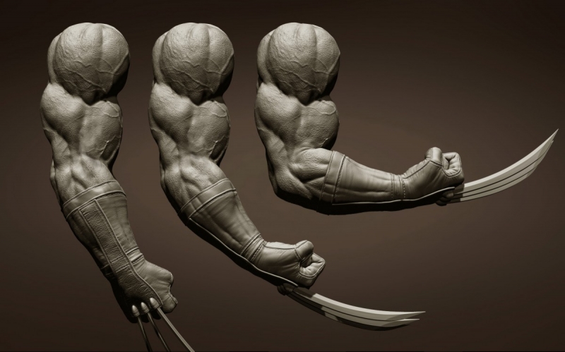Wolverine arm
